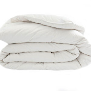 Down Duvet Insert